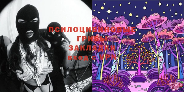 кокс Дмитриев