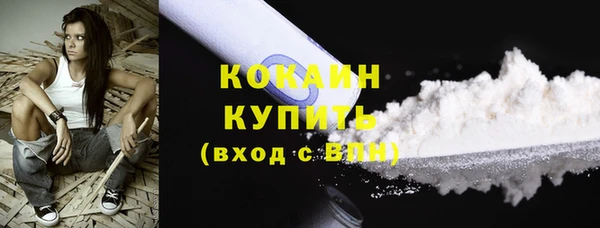 кокс Дмитриев