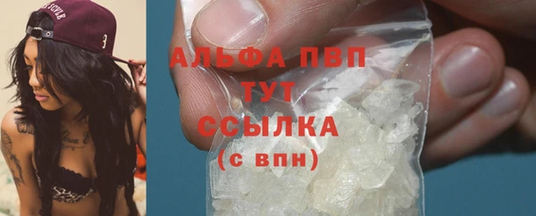 ECSTASY Дмитровск