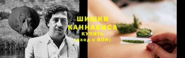 кокс Дмитриев
