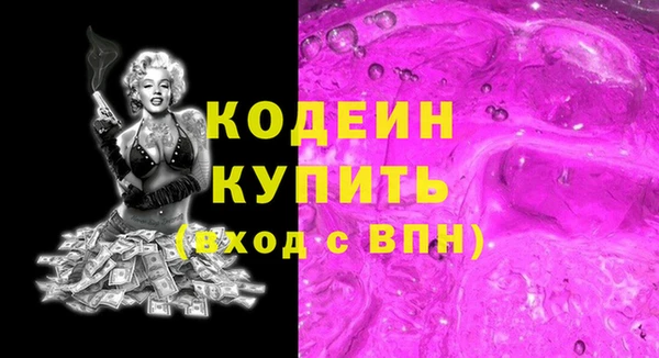 соль ск Дмитров