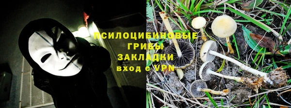 соль ск Дмитров