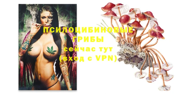 ECSTASY Дмитровск