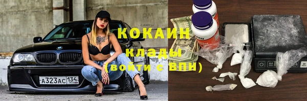 кокс Дмитриев