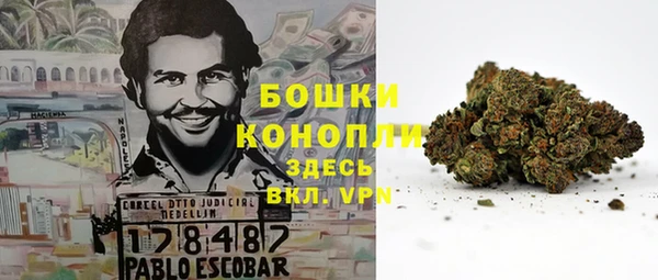 соль ск Дмитров
