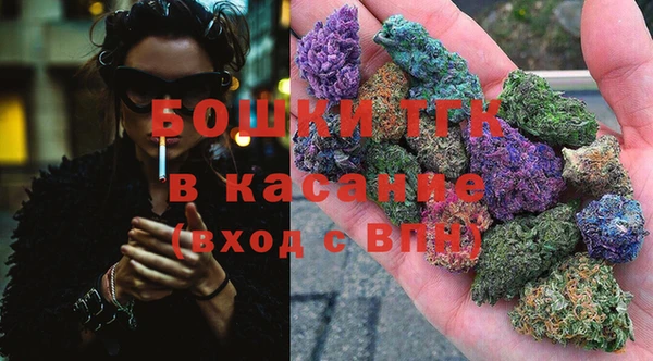 ECSTASY Дмитровск