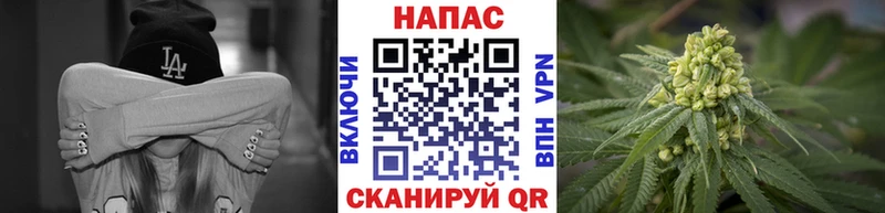МАРИХУАНА конопля  мориарти телеграм  Игра 